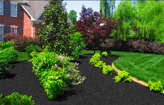 A Front Lawn Done By the Best Lawn care company in Overland Park