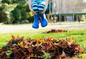 How to Prepare Your Lawn for this Fall